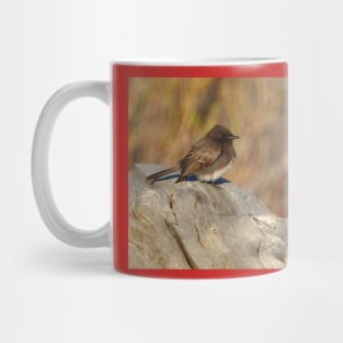 Wild birds, black phoebe, wildlife, Tiny Charm Mug